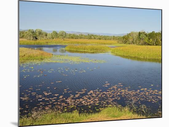 Tyto Wetlands, Ingham, Queensland, Australia, Pacific-Jochen Schlenker-Mounted Photographic Print