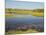 Tyto Wetlands, Ingham, Queensland, Australia, Pacific-Jochen Schlenker-Mounted Photographic Print