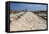 Tzippori (Or Sepphoris, or Zippori) National Park, the Cardo with the Original Roman Stone Floor-Massimo Borchi-Framed Stretched Canvas