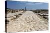 Tzippori (Or Sepphoris, or Zippori) National Park, the Cardo with the Original Roman Stone Floor-Massimo Borchi-Stretched Canvas