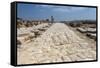 Tzippori (Or Sepphoris, or Zippori) National Park, the Cardo with the Original Roman Stone Floor-Massimo Borchi-Framed Stretched Canvas