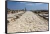 Tzippori (Or Sepphoris, or Zippori) National Park, the Cardo with the Original Roman Stone Floor-Massimo Borchi-Framed Stretched Canvas