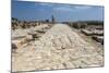 Tzippori (Or Sepphoris, or Zippori) National Park, the Cardo with the Original Roman Stone Floor-Massimo Borchi-Mounted Photographic Print