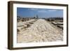 Tzippori (Or Sepphoris, or Zippori) National Park, the Cardo with the Original Roman Stone Floor-Massimo Borchi-Framed Photographic Print