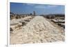 Tzippori (Or Sepphoris, or Zippori) National Park, the Cardo with the Original Roman Stone Floor-Massimo Borchi-Framed Photographic Print