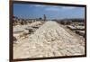 Tzippori (Or Sepphoris, or Zippori) National Park, the Cardo with the Original Roman Stone Floor-Massimo Borchi-Framed Photographic Print