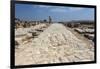 Tzippori (Or Sepphoris, or Zippori) National Park, the Cardo with the Original Roman Stone Floor-Massimo Borchi-Framed Photographic Print