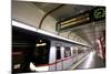 U-Bahn, Vienna, Austria, Europe-Neil Farrin-Mounted Photographic Print