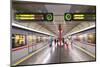 U-Bahn, Vienna, Austria, Europe-Neil Farrin-Mounted Photographic Print