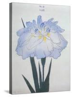 U-Chu Book of a Light Blue Iris-Stapleton Collection-Stretched Canvas
