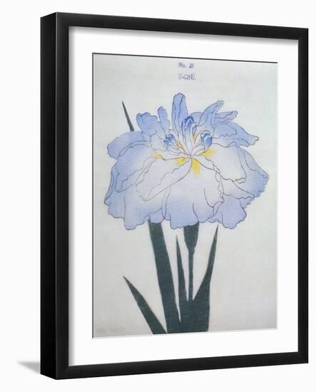 U-Chu Book of a Light Blue Iris-Stapleton Collection-Framed Giclee Print