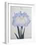 U-Chu Book of a Light Blue Iris-Stapleton Collection-Framed Giclee Print