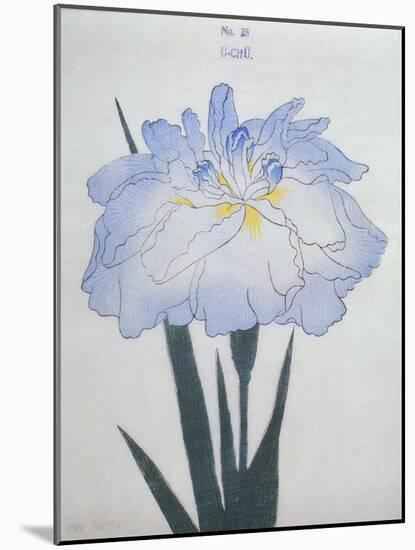 U-Chu Book of a Light Blue Iris-Stapleton Collection-Mounted Giclee Print