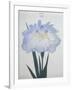 U-Chu Book of a Light Blue Iris-Stapleton Collection-Framed Giclee Print