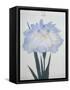 U-Chu Book of a Light Blue Iris-Stapleton Collection-Framed Stretched Canvas