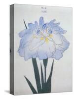 U-Chu Book of a Light Blue Iris-Stapleton Collection-Stretched Canvas