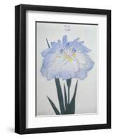 U-Chu Book of a Light Blue Iris-Stapleton Collection-Framed Giclee Print