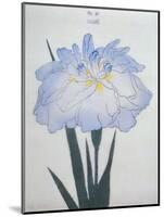 U-Chu Book of a Light Blue Iris-Stapleton Collection-Mounted Giclee Print