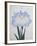 U-Chu Book of a Light Blue Iris-Stapleton Collection-Framed Giclee Print