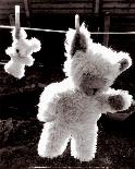 Teddy Bear Drying-U^ Dresing-Art Print