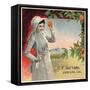 U.F. Del Valle Brand - Camulos, California - Citrus Crate Label-Lantern Press-Framed Stretched Canvas