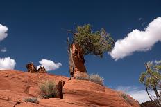 Watson Lake Park, Arizona, Usa-U Gernhoefer-Photographic Print