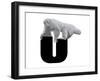 U is for Uakari-Stacy Hsu-Framed Art Print