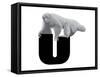 U is for Uakari-Stacy Hsu-Framed Stretched Canvas