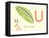 U is for Umbrella-null-Framed Stretched Canvas