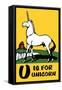 U is for Unicorn-Charles Buckles Falls-Framed Stretched Canvas