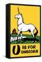 U is for Unicorn-Charles Buckles Falls-Framed Stretched Canvas