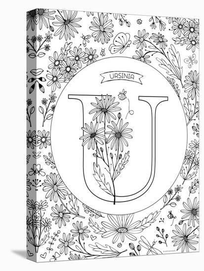 U is for Ursinia-Heather Rosas-Stretched Canvas