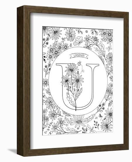 U is for Ursinia-Heather Rosas-Framed Art Print