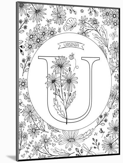 U is for Ursinia-Heather Rosas-Mounted Art Print