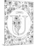 U is for Ursinia-Heather Rosas-Mounted Art Print