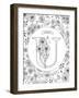 U is for Ursinia-Heather Rosas-Framed Art Print