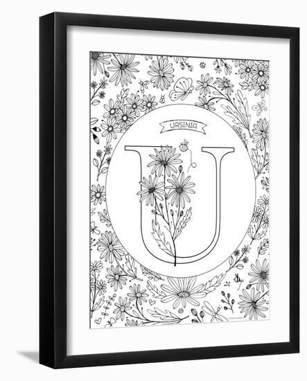 U is for Ursinia-Heather Rosas-Framed Art Print