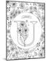 U is for Ursinia-Heather Rosas-Mounted Art Print