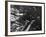 U.S. 21st Bomber Command Dropped Incendiary Bombs on Osaka-null-Framed Photo