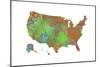 U.S.A. Map 4-Marlene Watson-Mounted Giclee Print