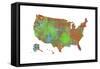 U.S.A. Map 4-Marlene Watson-Framed Stretched Canvas