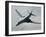 U.S. Air Force B-1B Lancer on a Combat Patrol over Afghanistan-Stocktrek Images-Framed Photographic Print