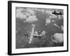U.S. Air Force Consolidated B-24 Liberators-null-Framed Photo