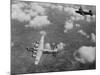 U.S. Air Force Consolidated B-24 Liberators-null-Mounted Photo