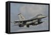 U.S. Air Force F-16 Fighting Falcon Flying over Brazil-Stocktrek Images-Framed Stretched Canvas