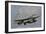 U.S. Air Force F-16 Fighting Falcon Flying over Brazil-Stocktrek Images-Framed Photographic Print