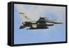 U.S. Air Force F-16C of Columbia Air National Guard-Stocktrek Images-Framed Stretched Canvas