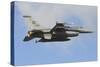 U.S. Air Force F-16C of Columbia Air National Guard-Stocktrek Images-Stretched Canvas