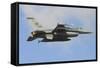 U.S. Air Force F-16C of Columbia Air National Guard-Stocktrek Images-Framed Stretched Canvas