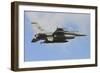 U.S. Air Force F-16C of Columbia Air National Guard-Stocktrek Images-Framed Photographic Print